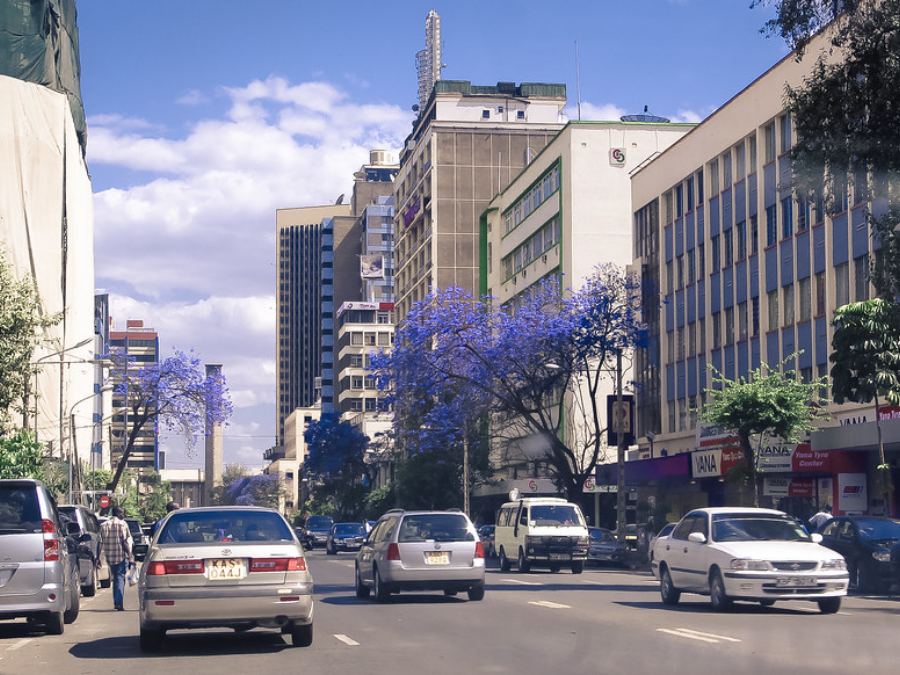 A Nairobi street lined with jacaranda trees